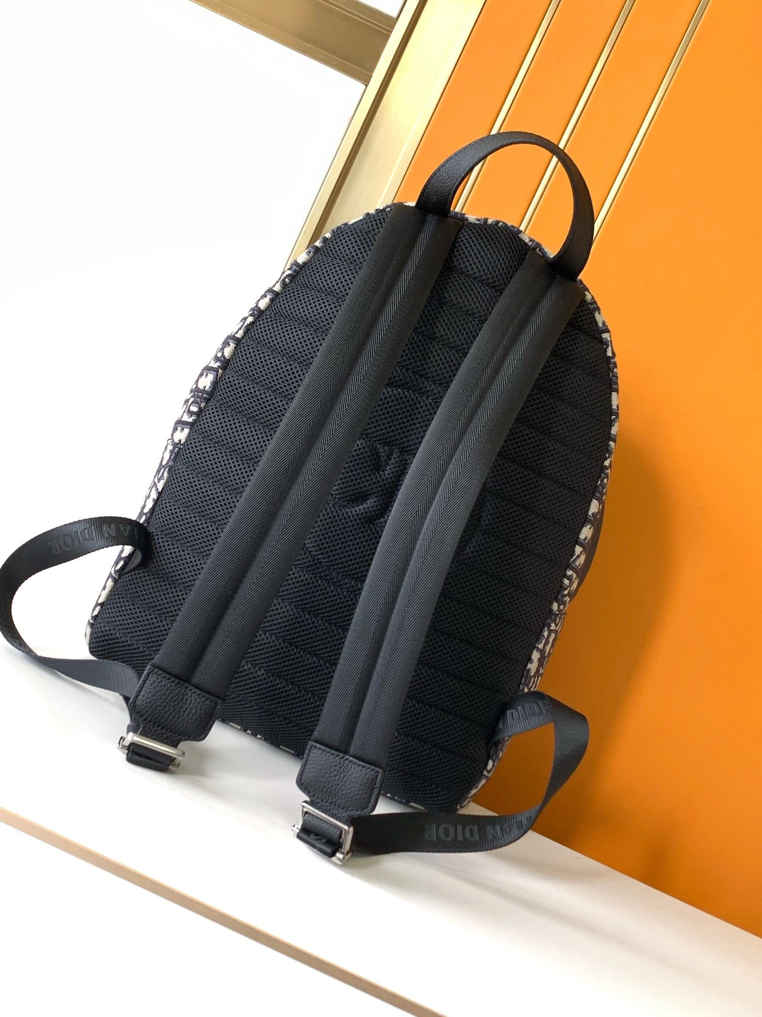 Elegant Mens Christian Dior Backpacks 92086