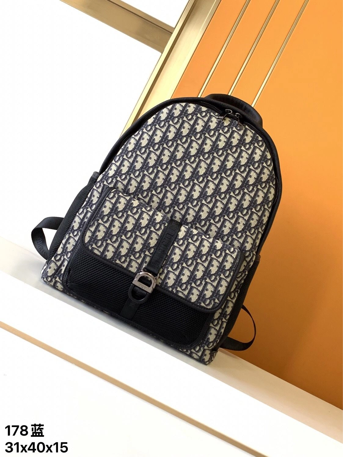 Popular Mens Christian Dior Backpacks 92083