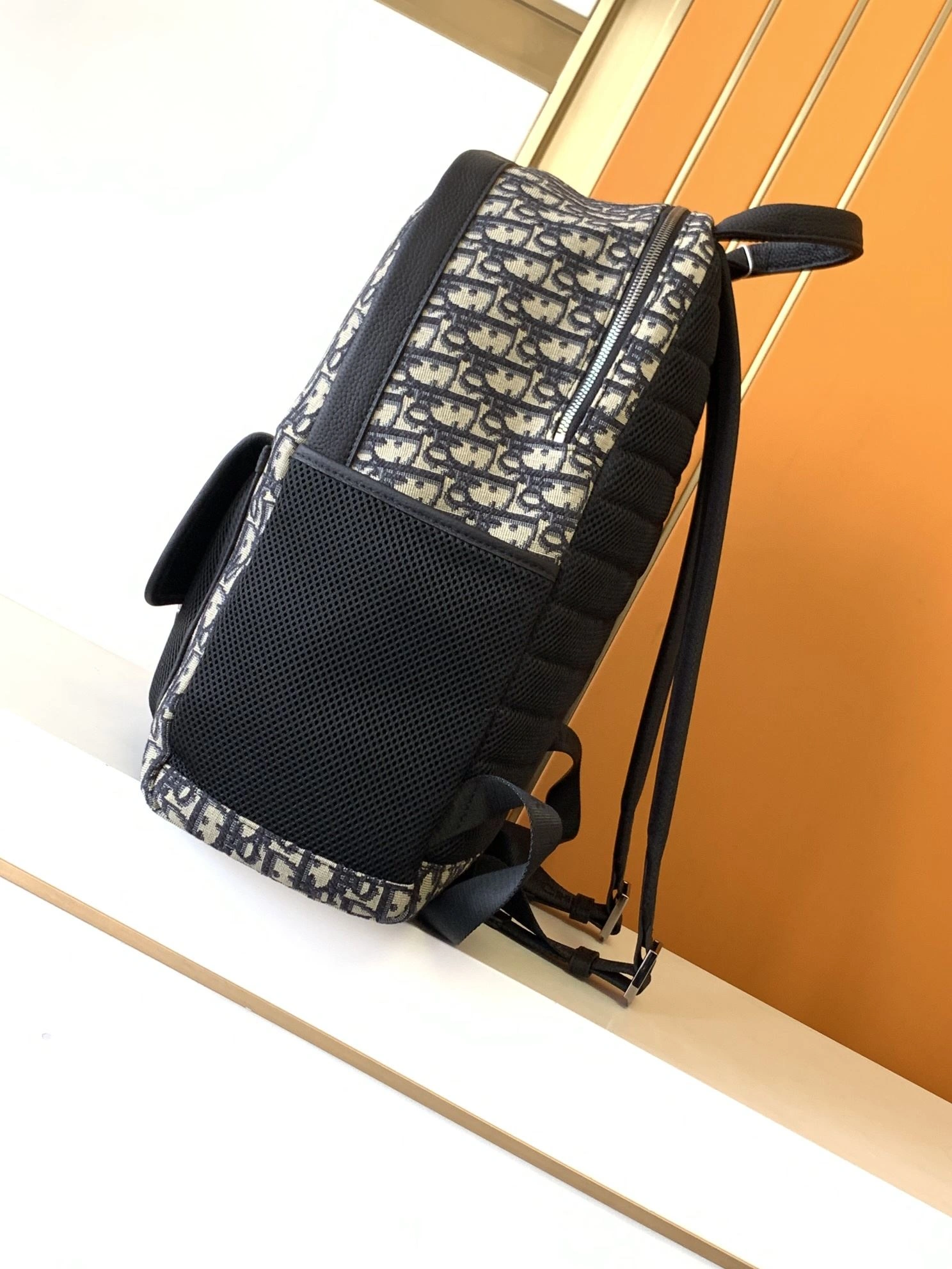 Popular Mens Christian Dior Backpacks 92083