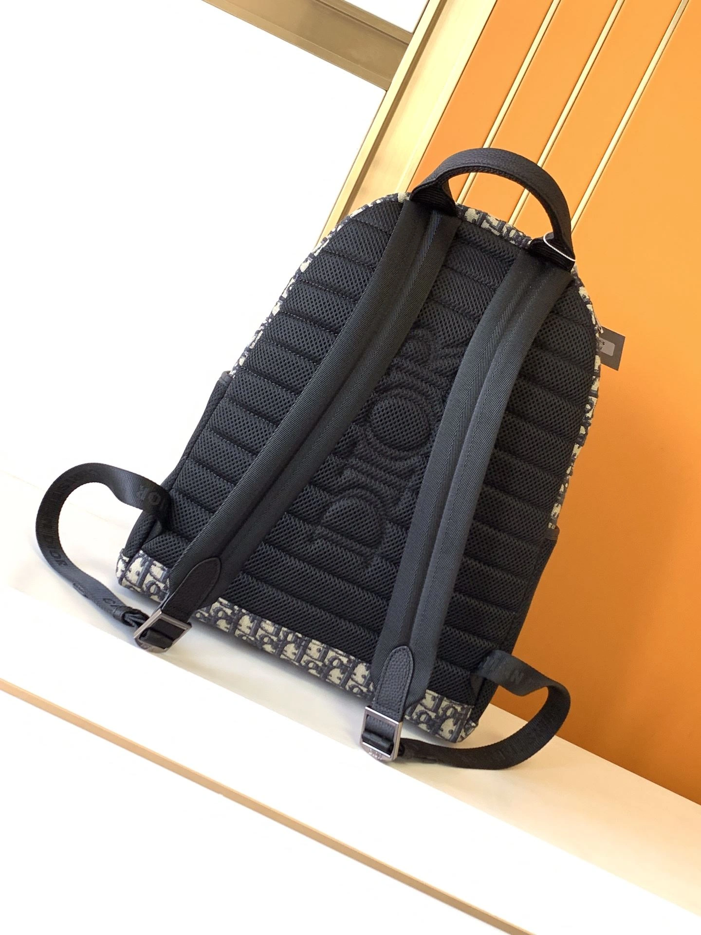 Popular Mens Christian Dior Backpacks 92083
