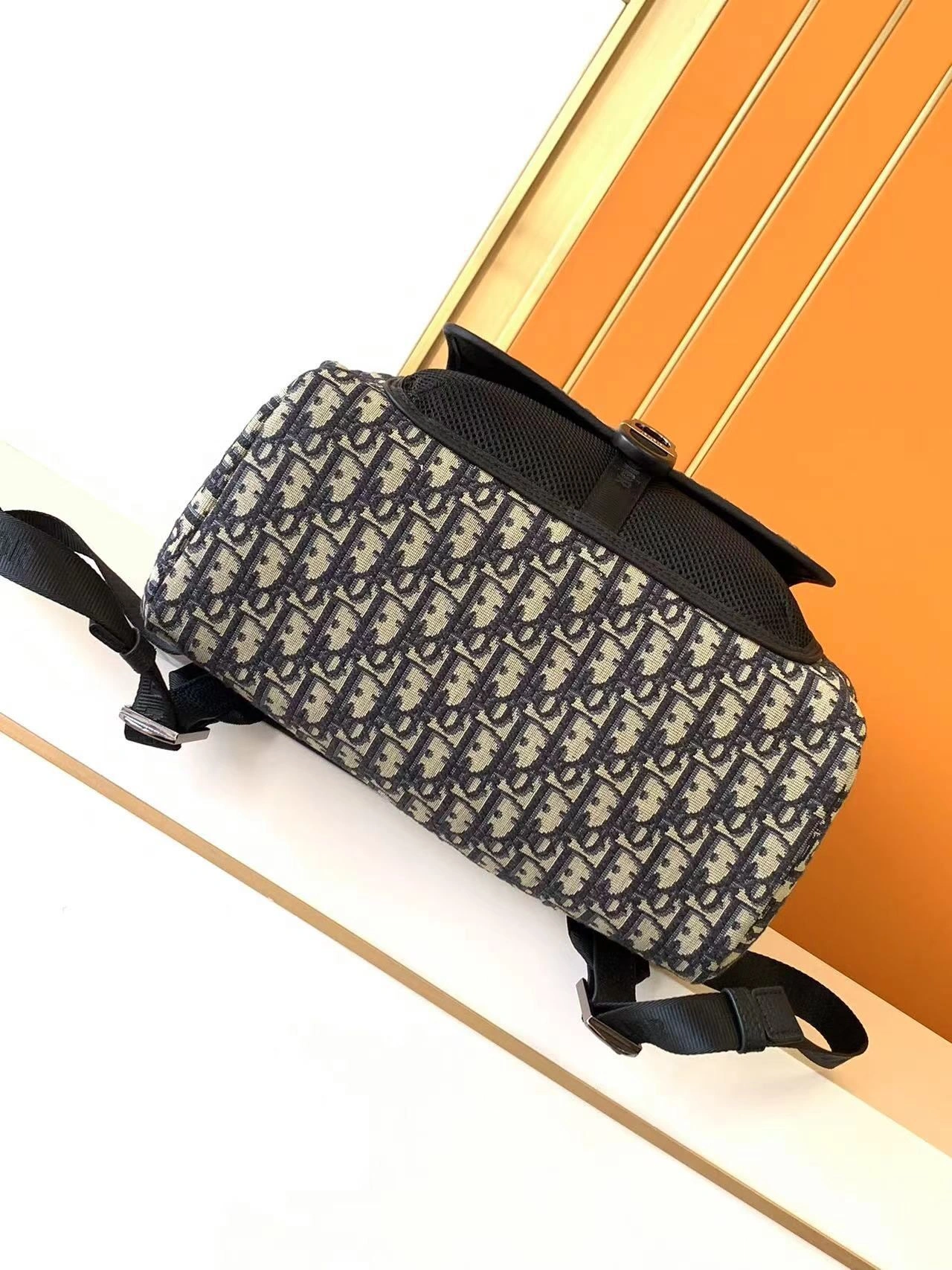 Popular Mens Christian Dior Backpacks 92083