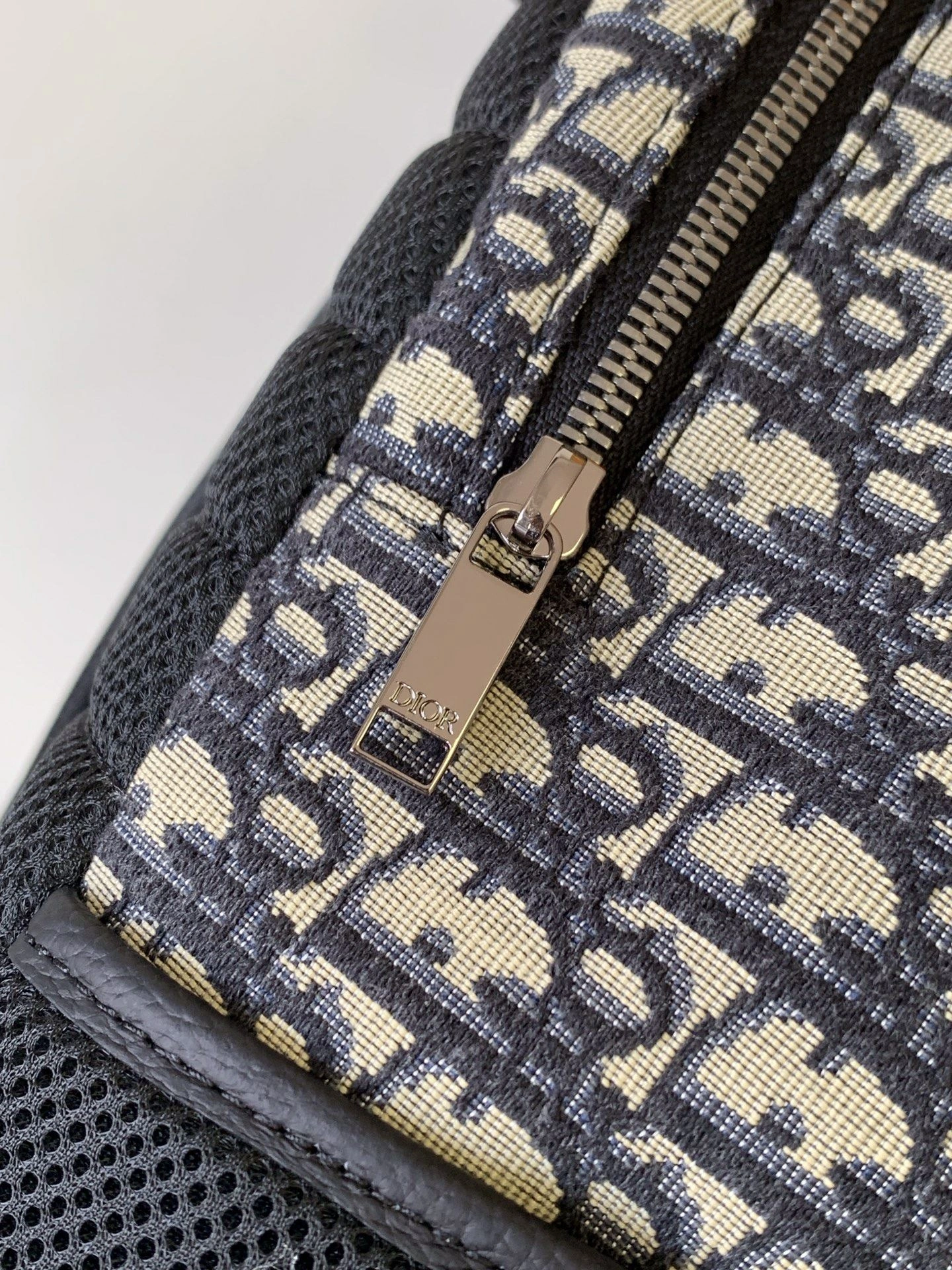 Popular Mens Christian Dior Backpacks 92083