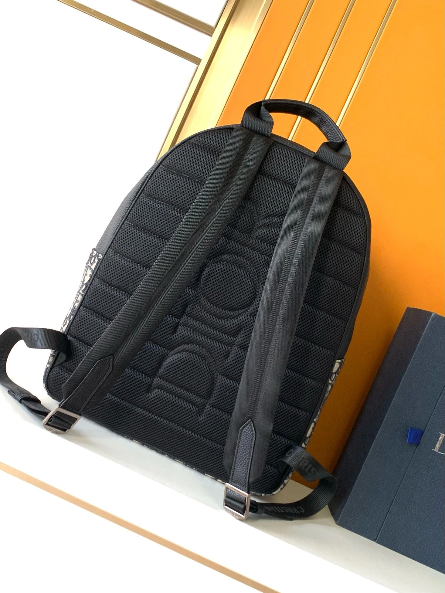 EyeCatching Mens Christian Dior Backpacks 92074