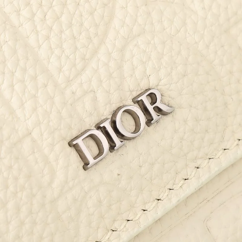 Mens Christian Dior Satchel Bags GoAnywhere 45774