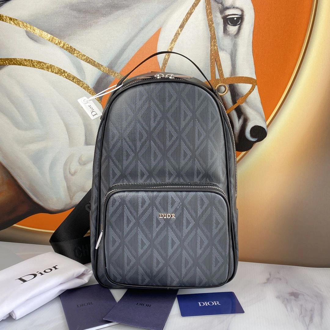 Affordable Mens Christian Dior Waist Chest Packs 93198