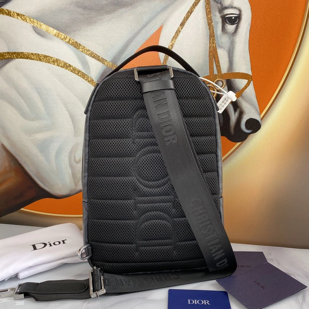 Affordable Mens Christian Dior Waist Chest Packs 93198