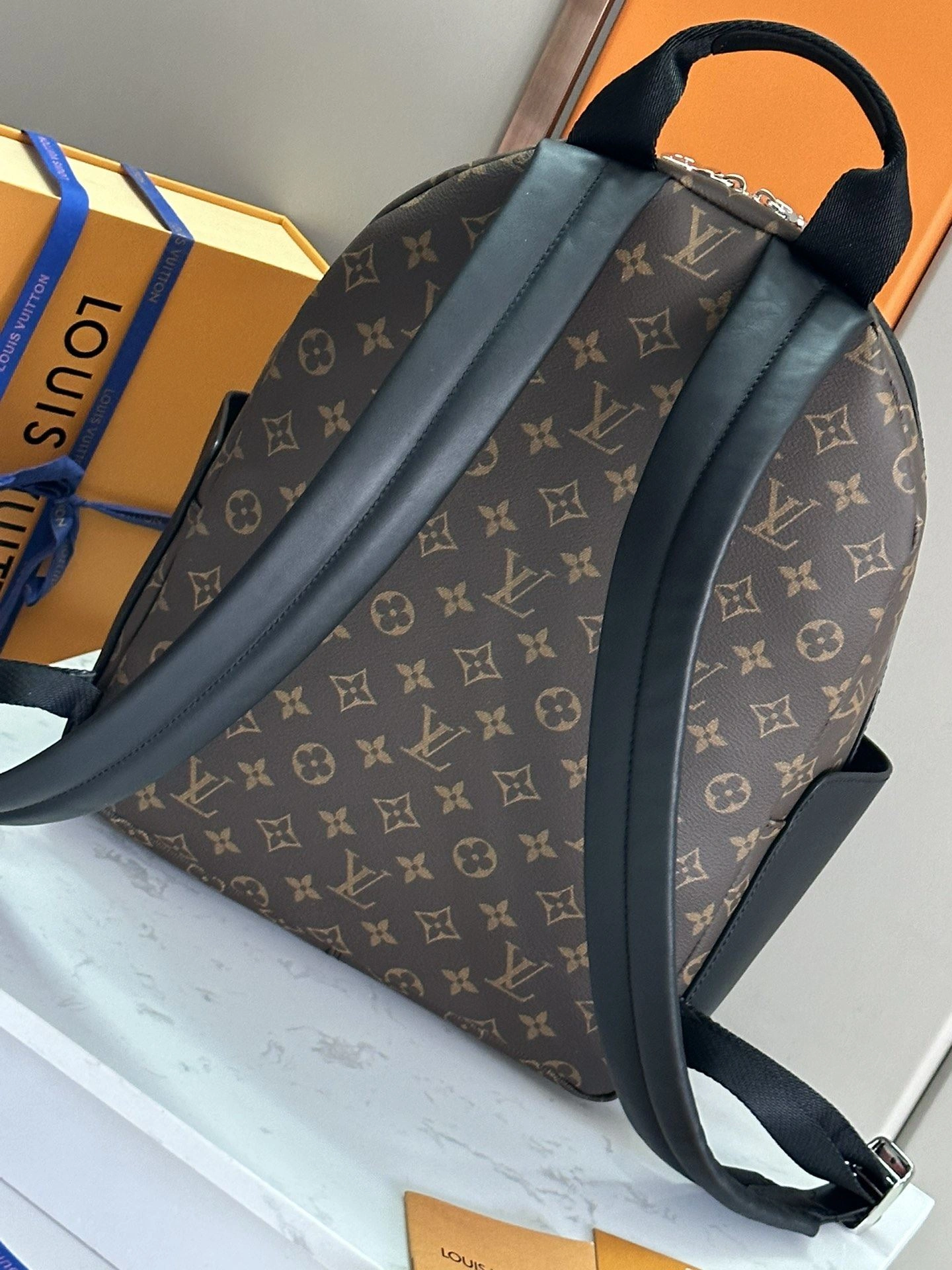 Mens Louis Vuitton Backpacks Flexible 91872