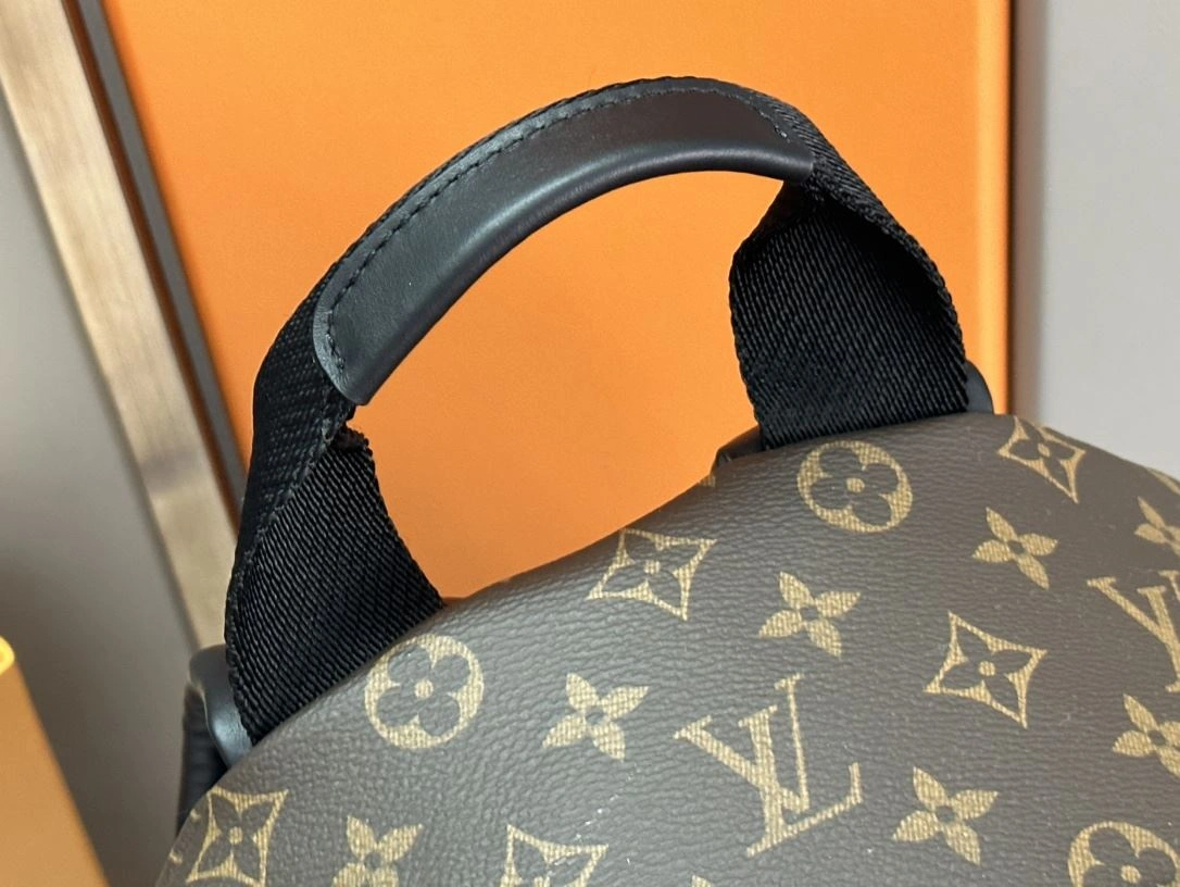 Mens Louis Vuitton Backpacks Flexible 91872