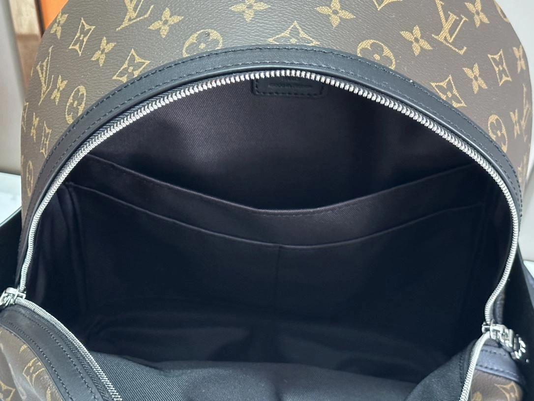 Mens Louis Vuitton Backpacks Flexible 91872