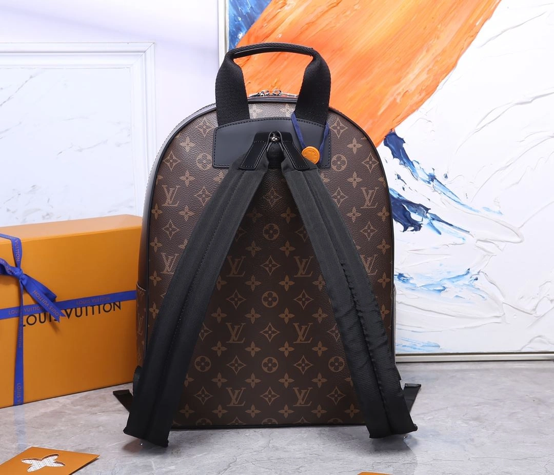 Mens Louis Vuitton Backpacks Soft 91848