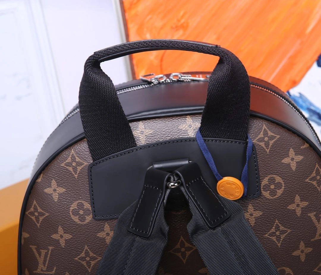 Mens Louis Vuitton Backpacks Soft 91848