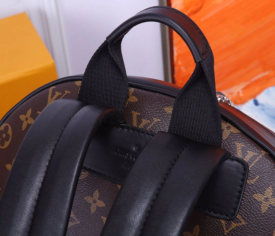 Versatile Mens Louis Vuitton Backpacks 91777