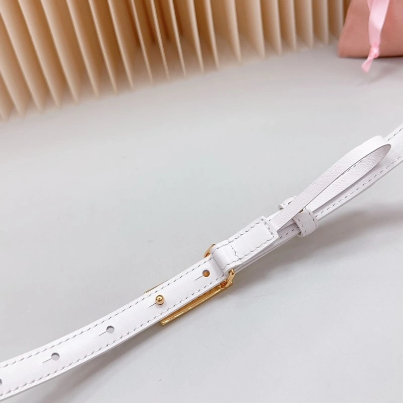 EasyCare Miu Miu Belts 302368