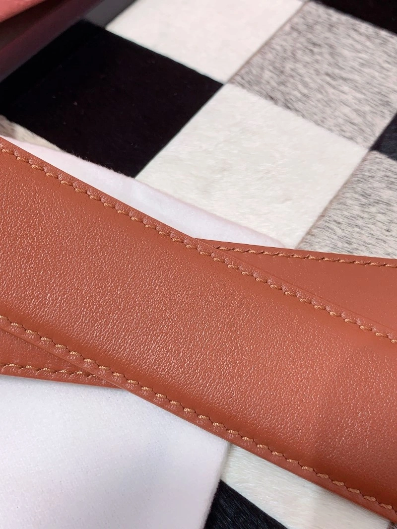 EyeCatching Miu Miu Belts 302351