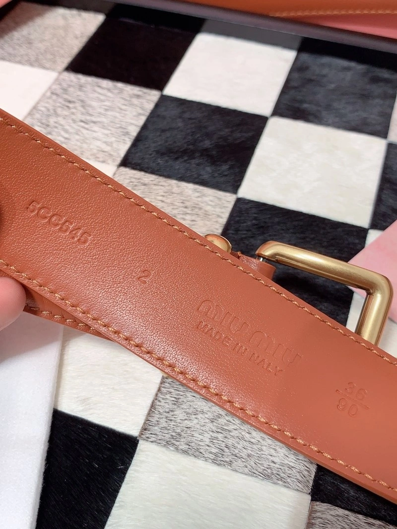EyeCatching Miu Miu Belts 302351