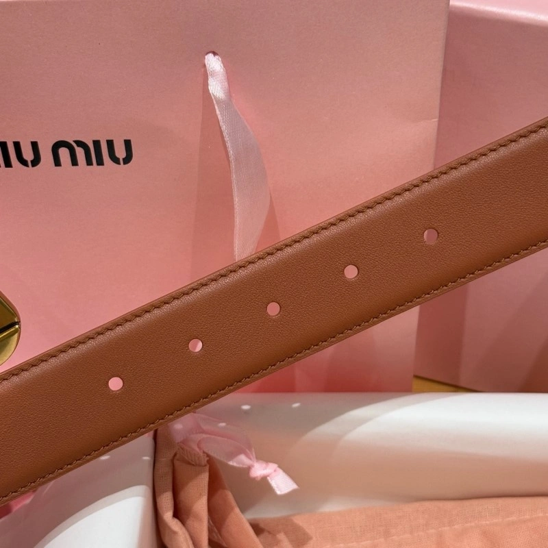 Resilient Miu Miu Belts 302323
