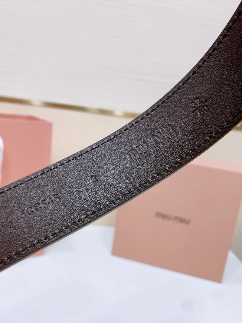 EyeCatching Miu Miu Belts 302313
