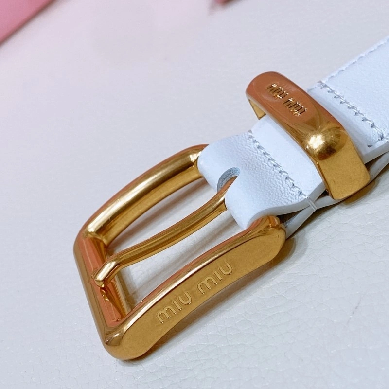 SmoothTexture Miu Miu Belts 302301