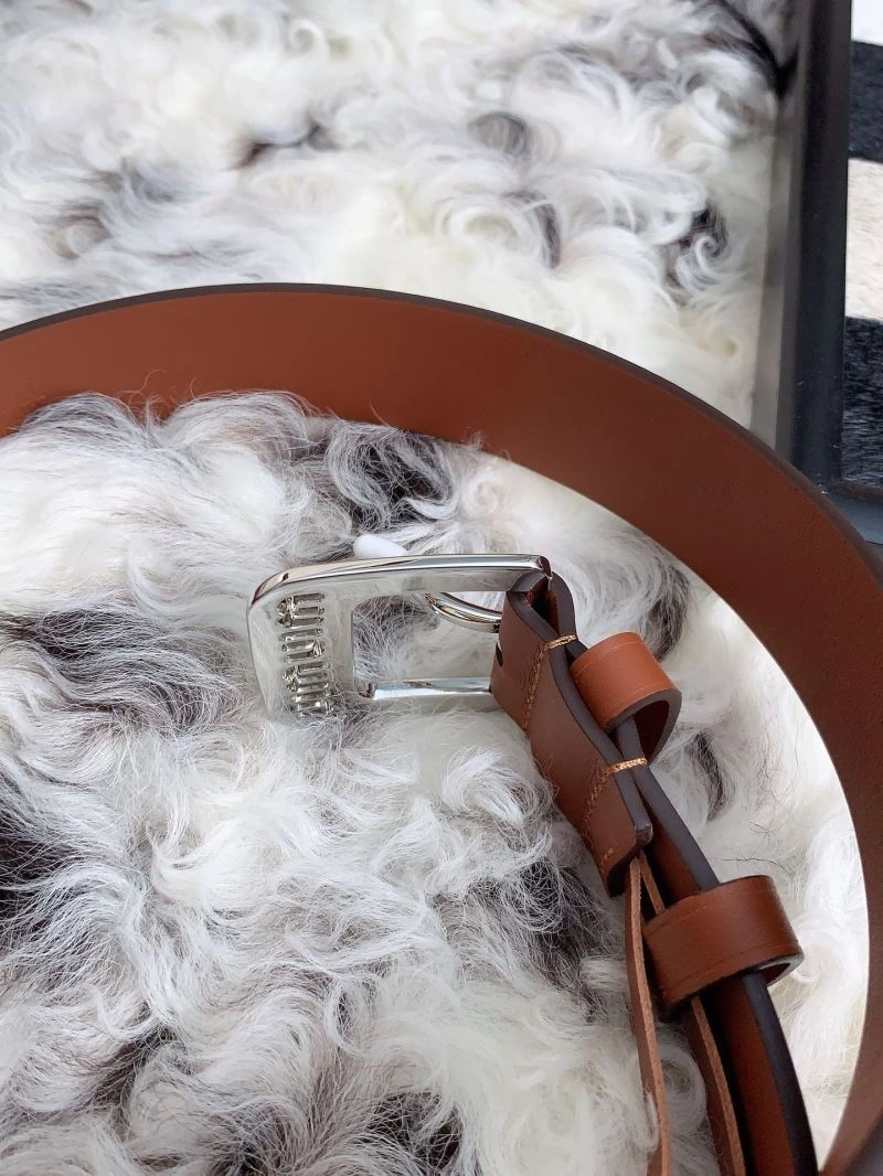 Modern Miu Miu Belts 302423