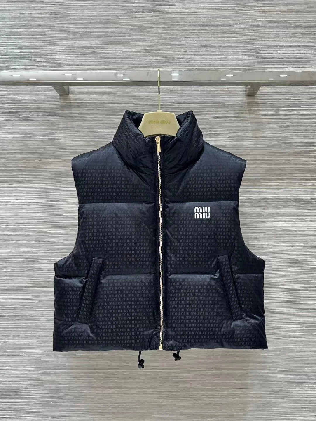 DailyWear Miu Miu Down Jackets 165188