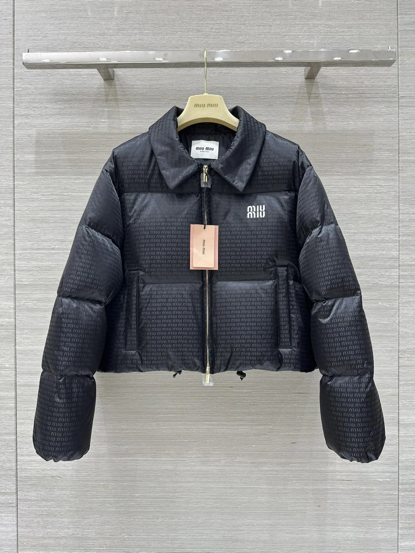 SmoothTexture Miu Miu Down Jackets 165269