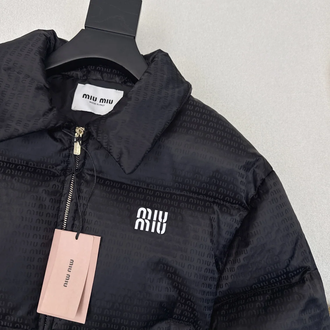 Miu Miu Down Jackets Comfortable 165173