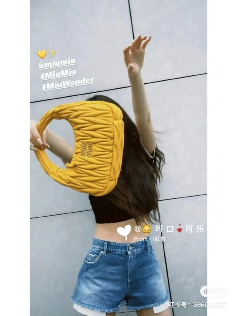 Unisex Miu Miu Hobo Bags 43820