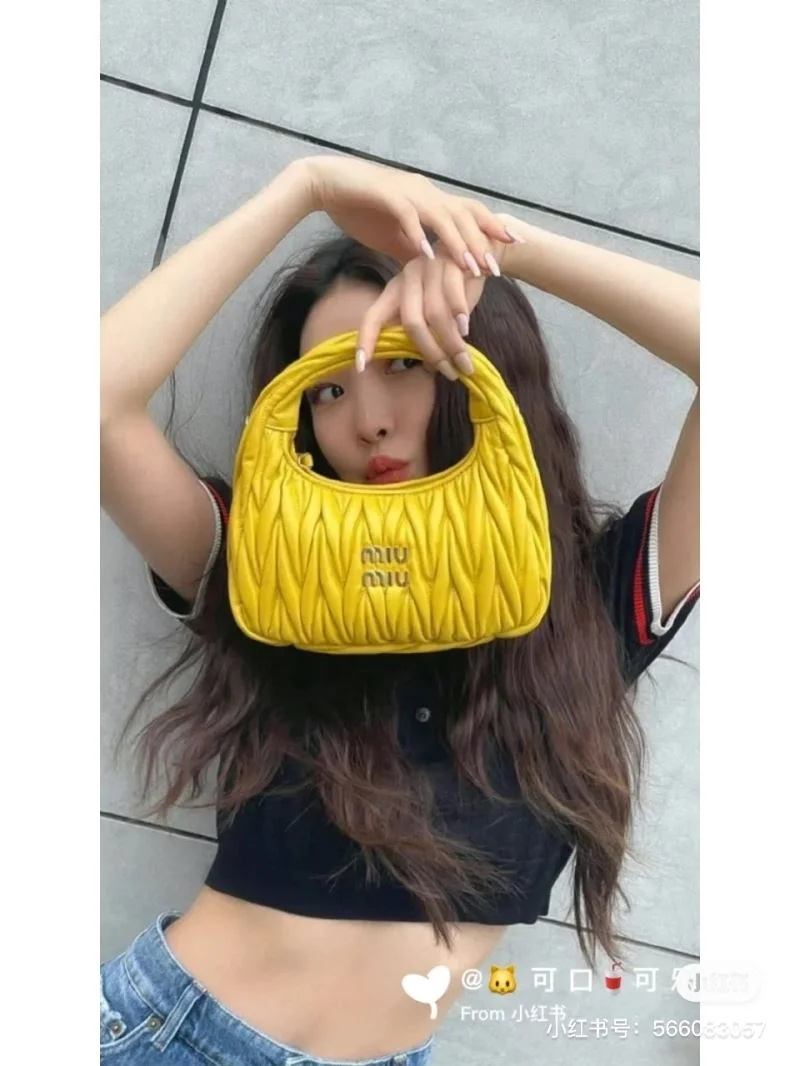 Unisex Miu Miu Hobo Bags 43820
