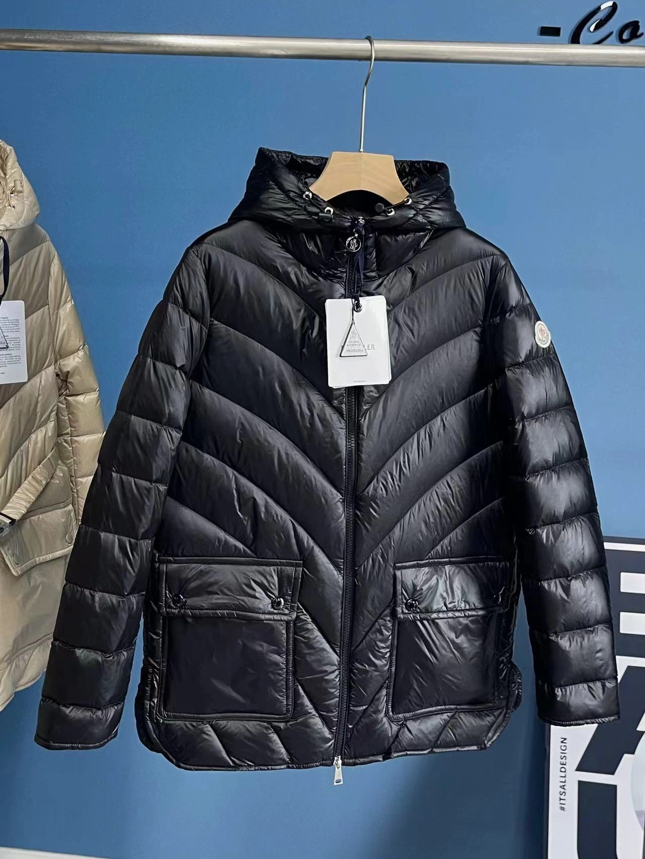 Moncler Down Jackets Timeless 146641