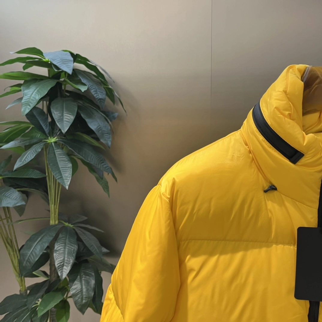 Moncler Down Jackets TravelReady 145420