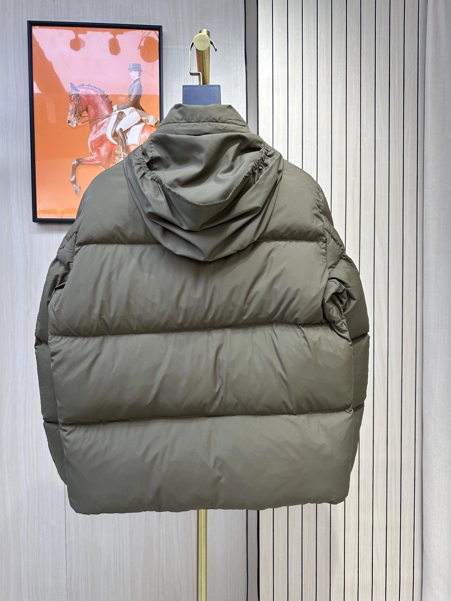 Cozy Moncler Down Jackets 145393