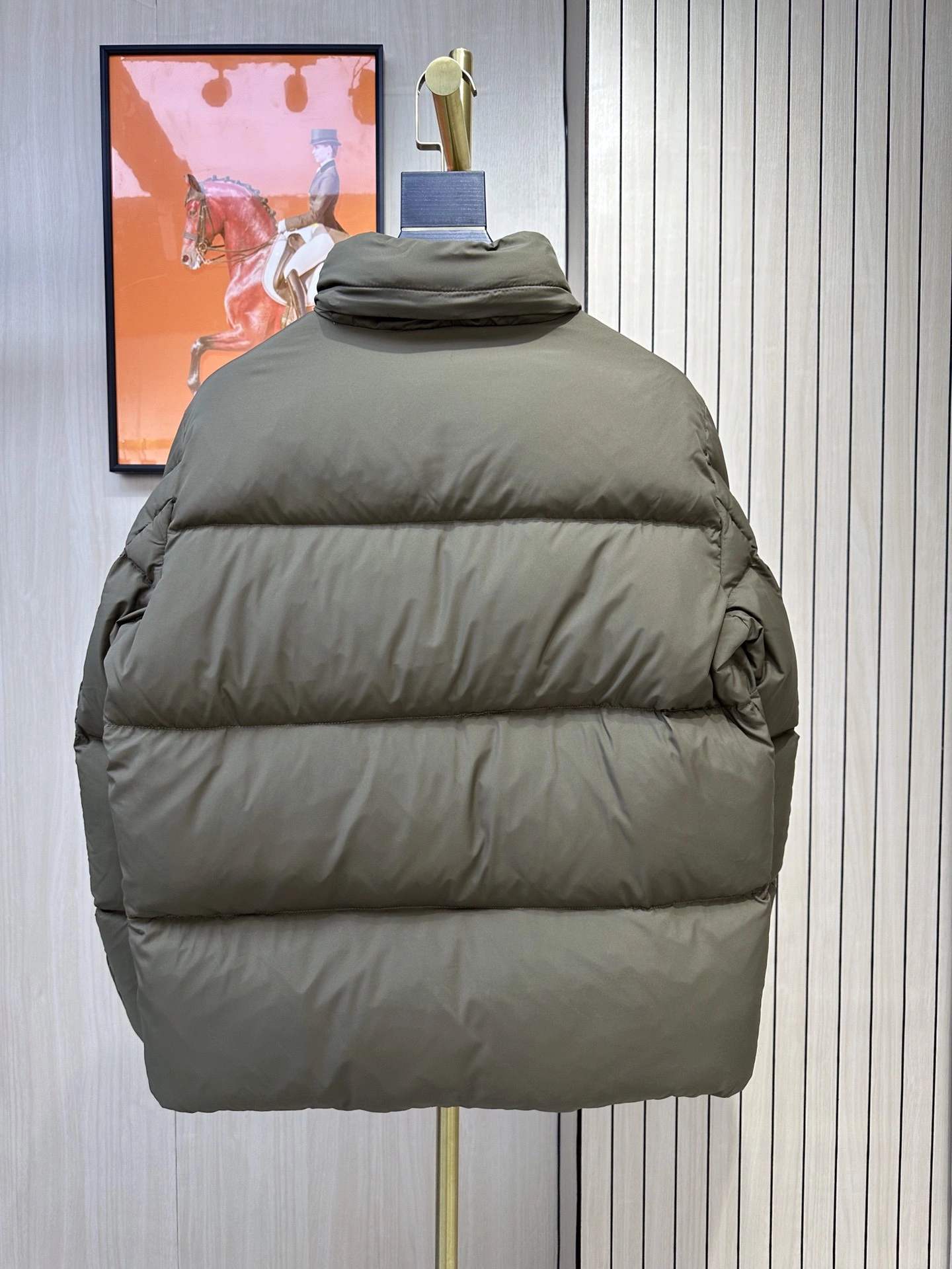 Cozy Moncler Down Jackets 145393