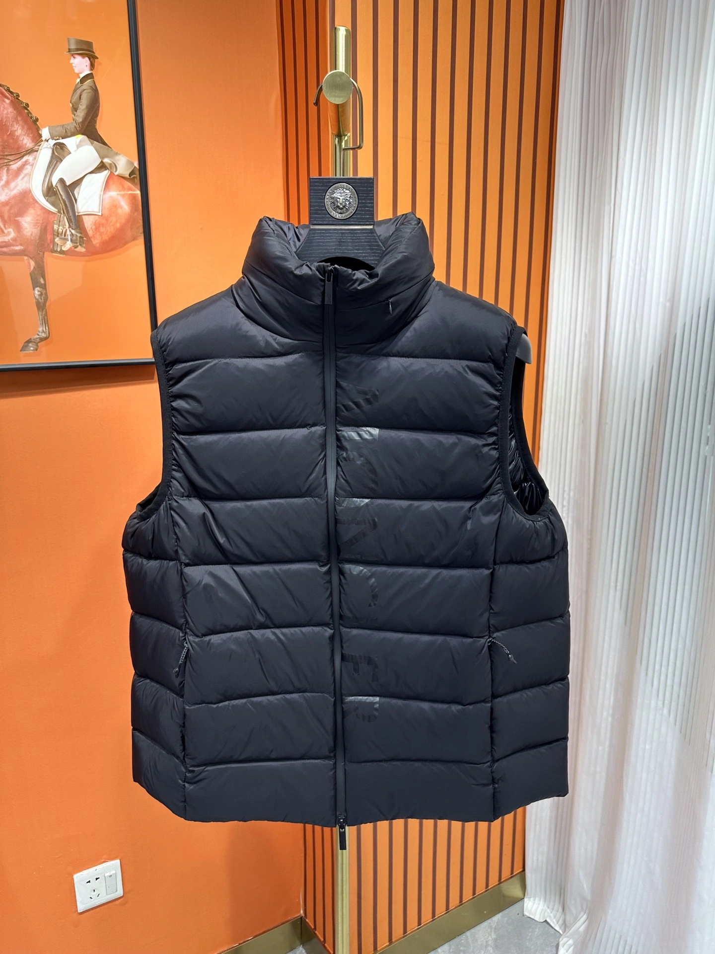 Elegant Moncler Down Jackets 145388