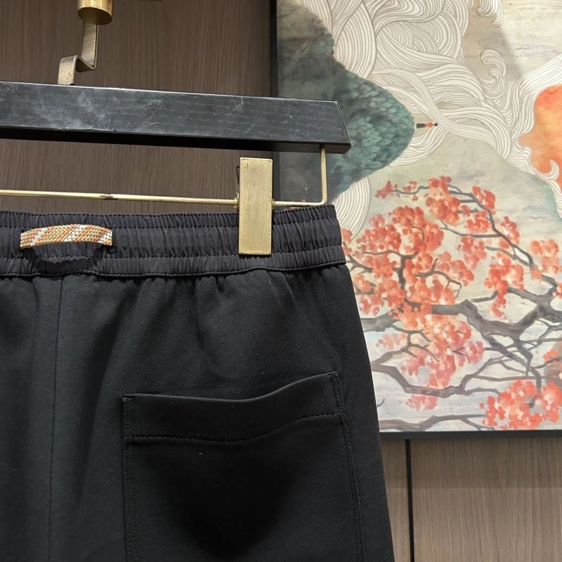 WrinkleFree Moncler Long Pants 142601