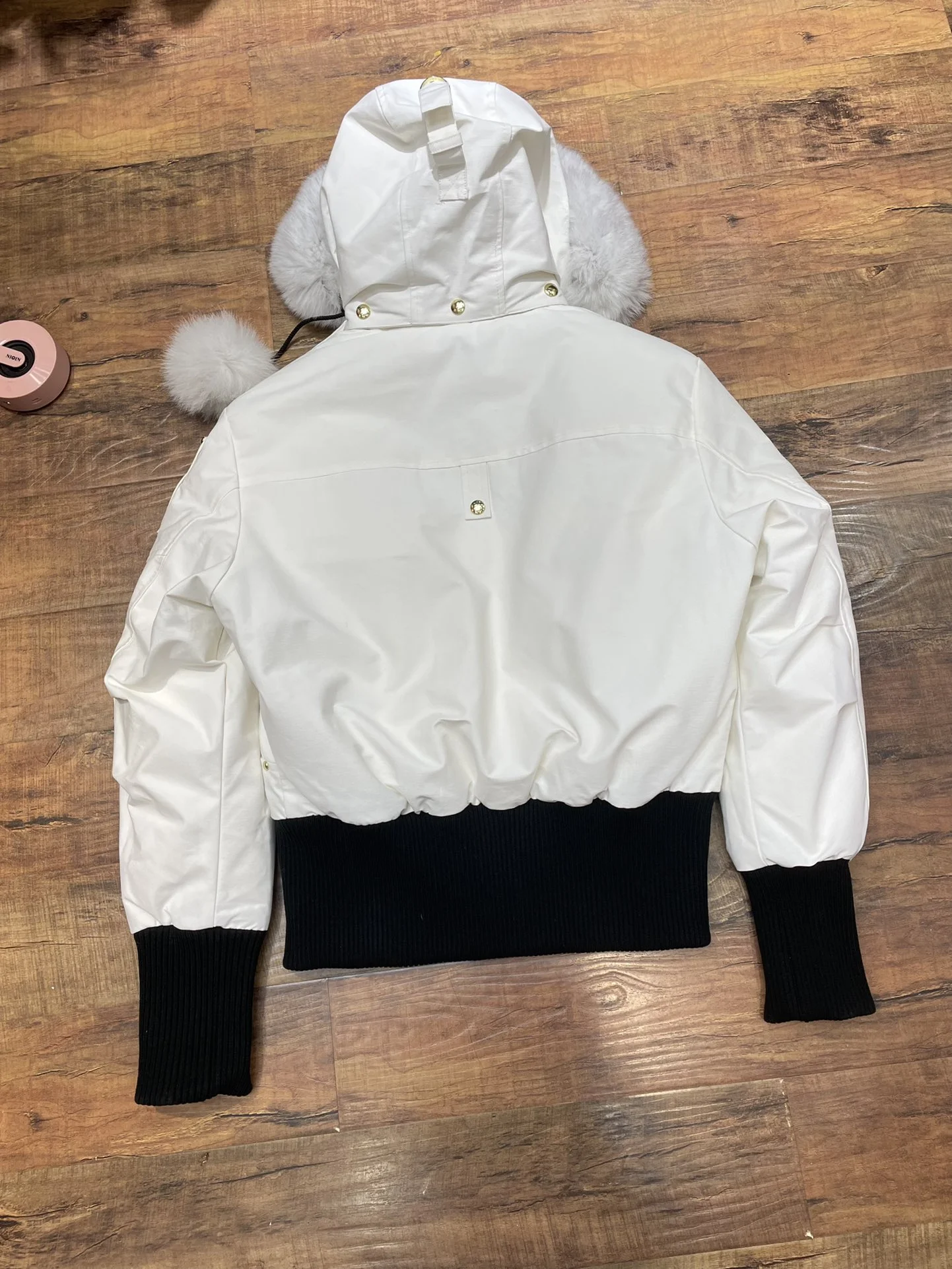 Timeless Moose Knuckles Down Jackets 165137