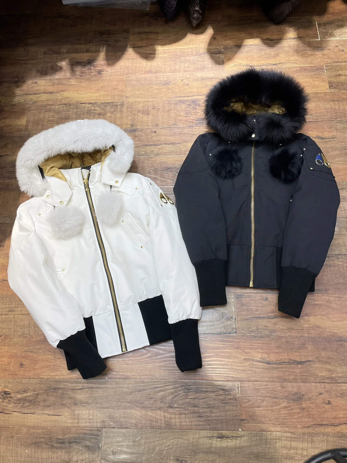 Timeless Moose Knuckles Down Jackets 165137