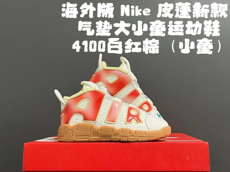 NIKE SHOES FlexibleFit 28522