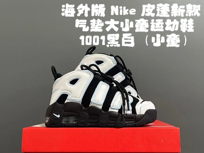 NIKE SHOES TravelReady 28513