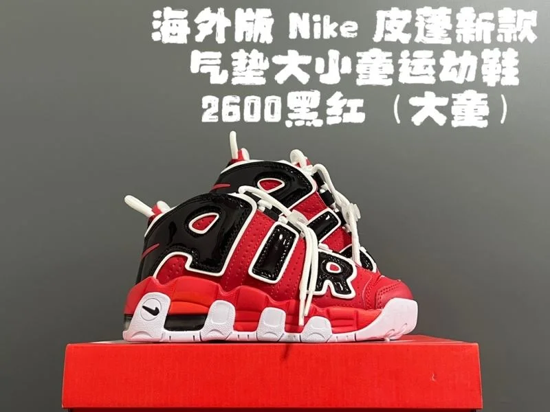 NIKE SHOES TravelReady 28513