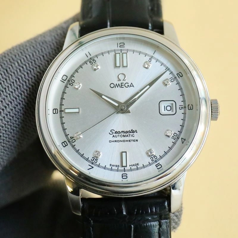 OMEGA Watches GoAnywhere 193930