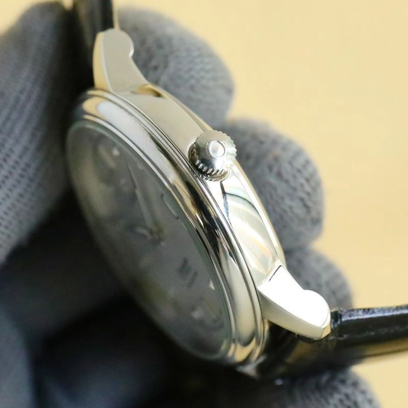 OMEGA Watches GoAnywhere 193930