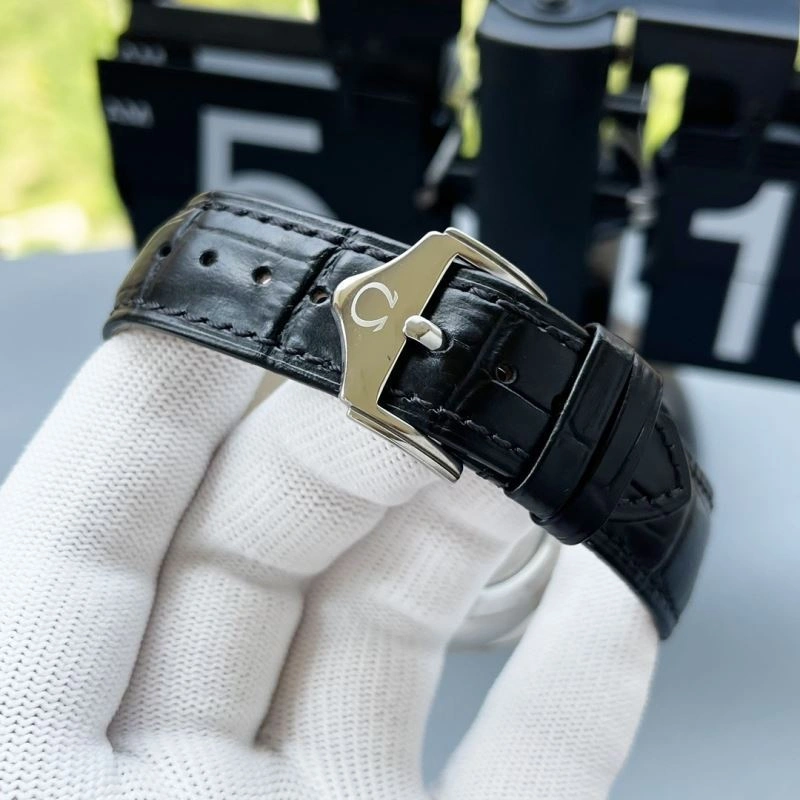 OMEGA Watches TimelessDesign 193920