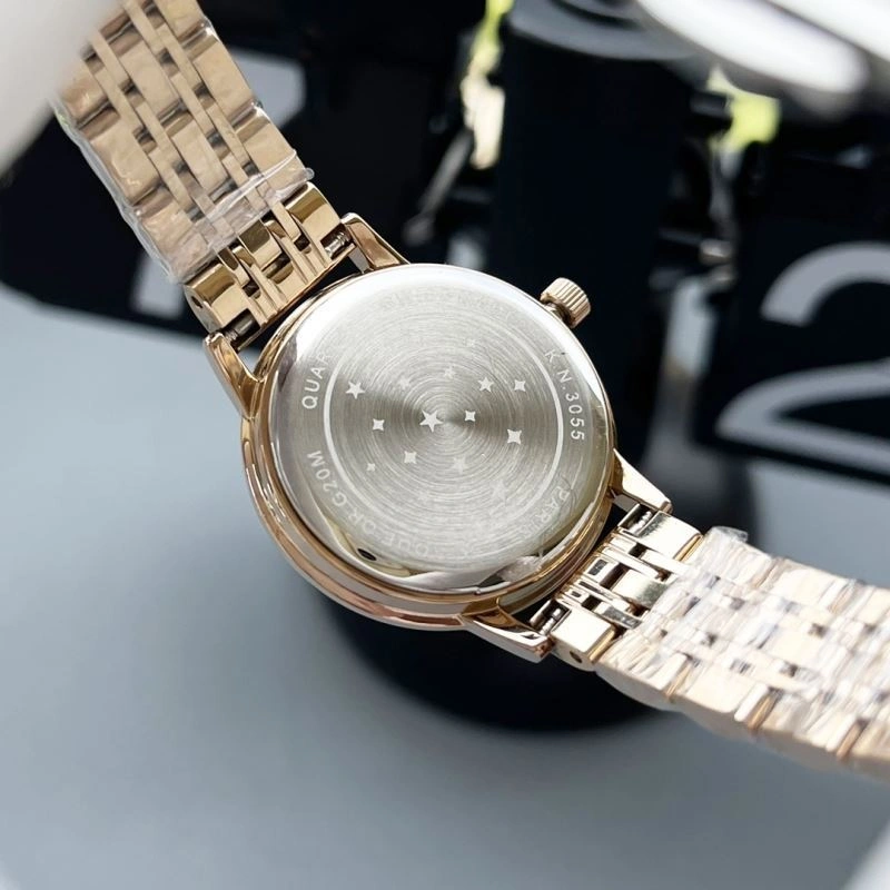 StreetReady OMEGA Watches 193891