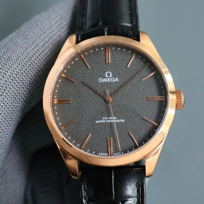 OMEGA Watches DailyWear 193849