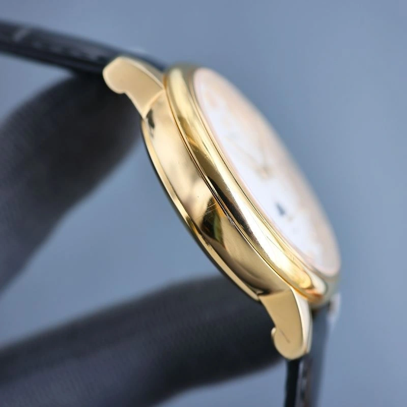 OMEGA Watches Colorful 193851