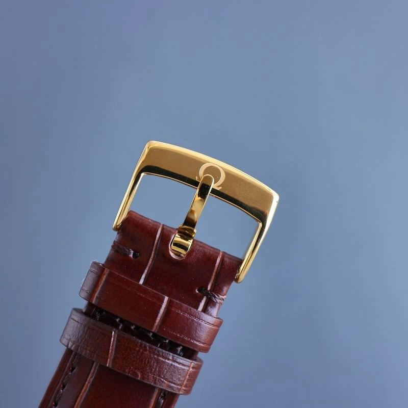 Stylish OMEGA Watches 193836