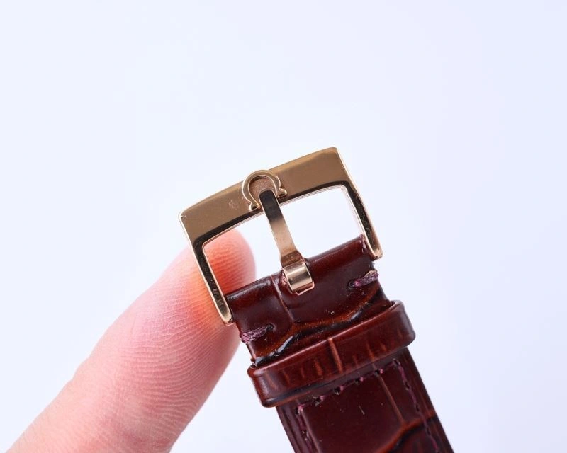 OMEGA Watches WeatherProof 193826