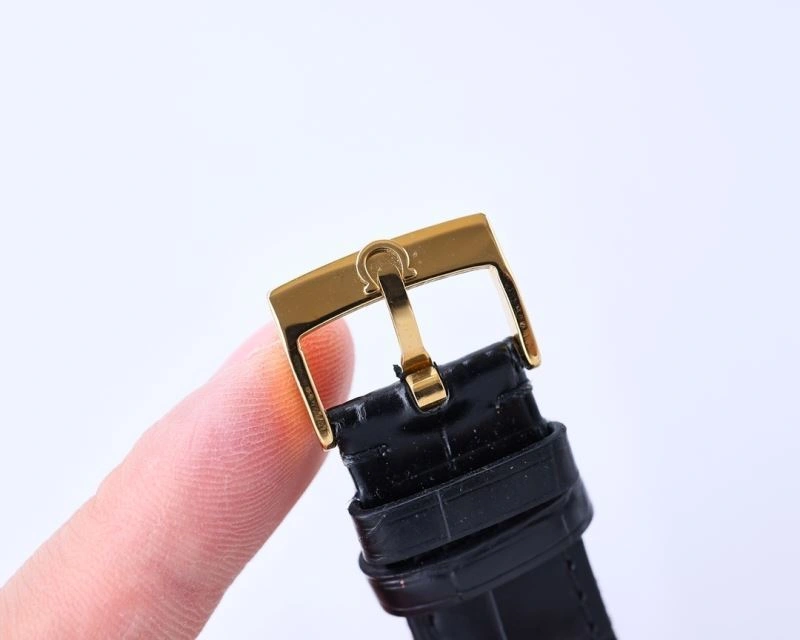 EyeCatching OMEGA Watches 193825