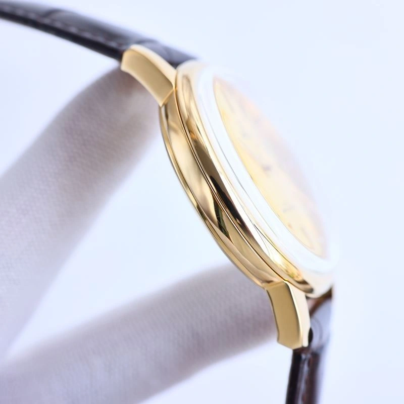OMEGA Watches StreetReady 193821