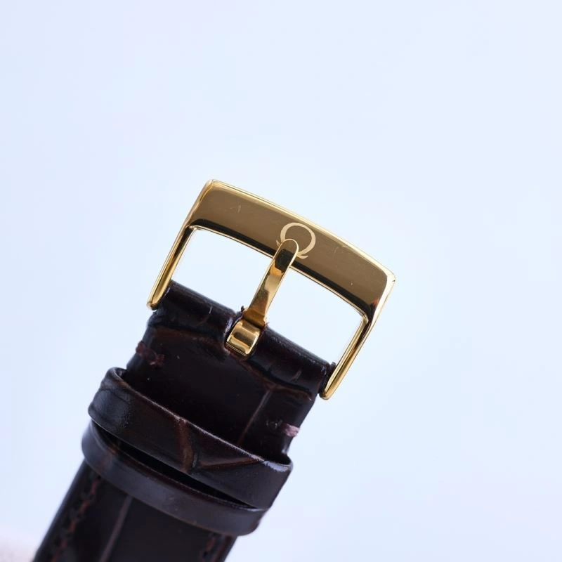 OMEGA Watches StreetReady 193821